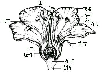 江西教师招聘考试