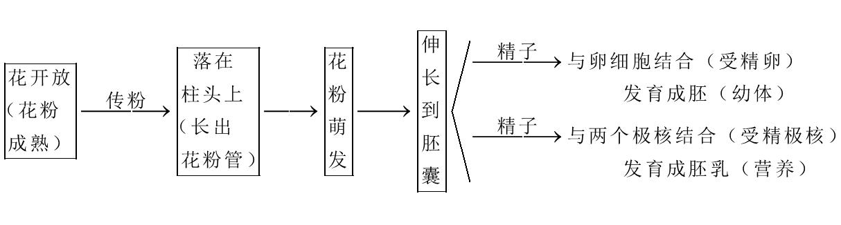 江西教师招聘考试